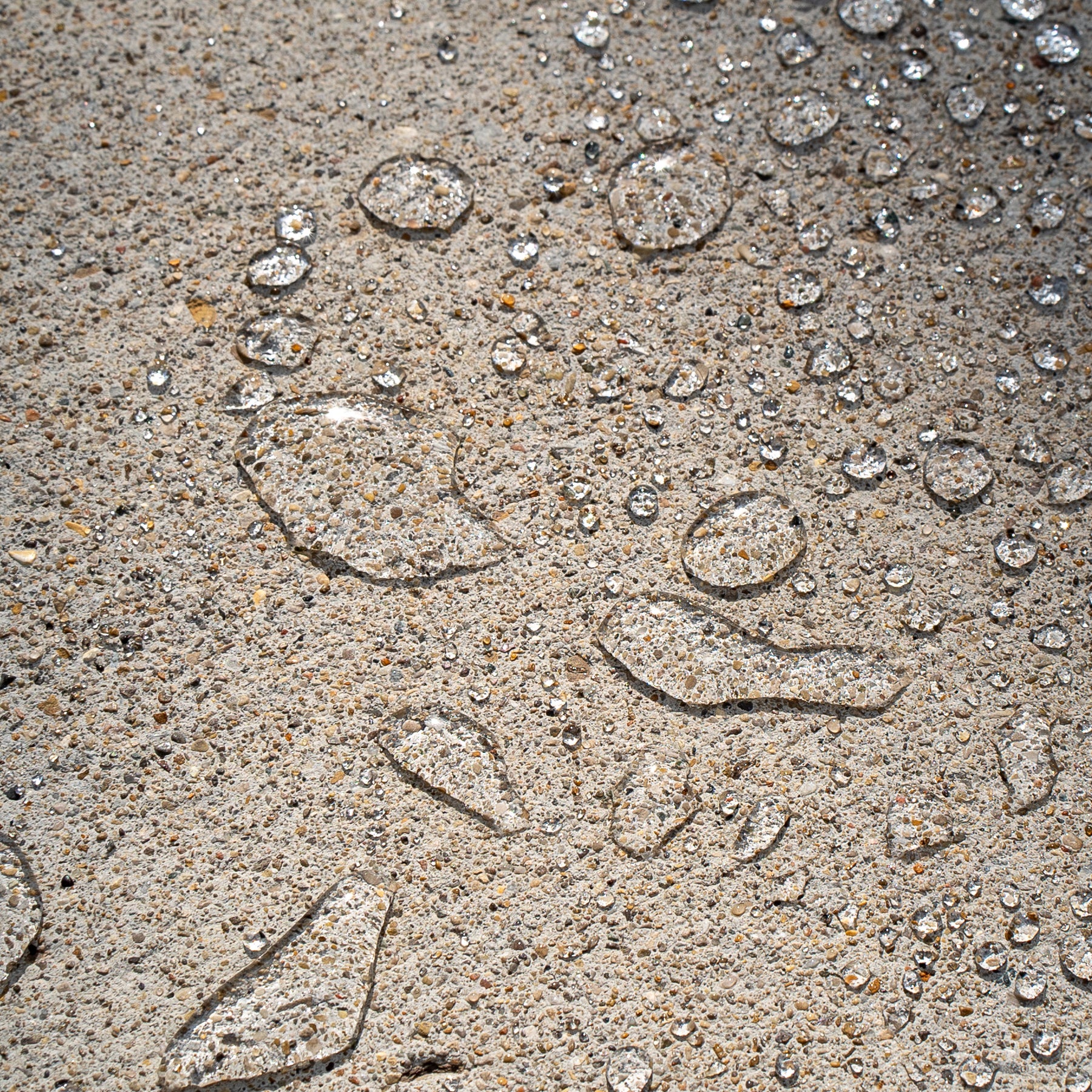 All Purpose Heavy Duty Water Repellent